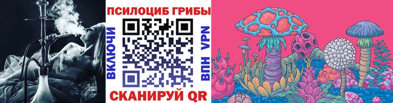 Псилоцибиновые грибы Psilocybe  закладка  гидра маркетплейс  Оса 
